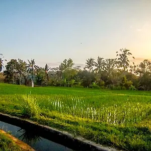 Paradise Villa